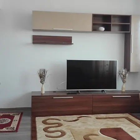 Apartament Ioan Socec *