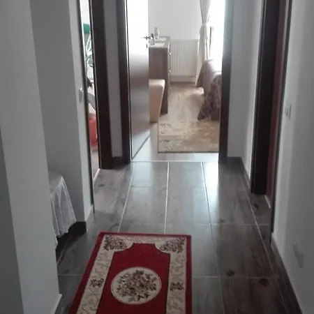 Apartament Ioan Socec Апартаменти