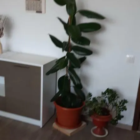 Apartament Ioan Socec Брашов