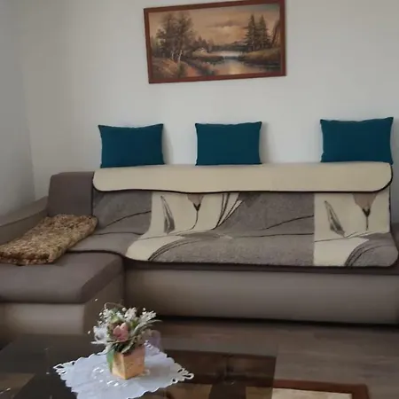 Апартаменти Apartament Ioan Socec
