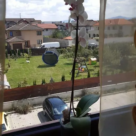 Apartament Ioan Socec