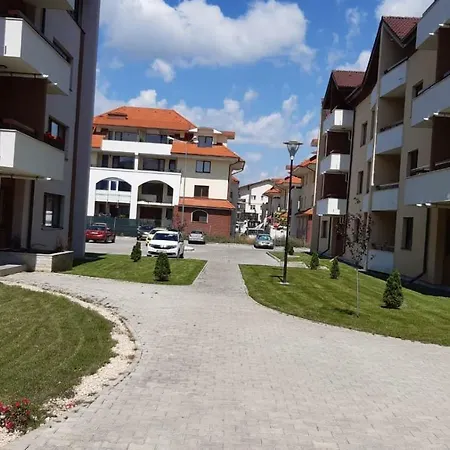 Apartament Ioan Socec *