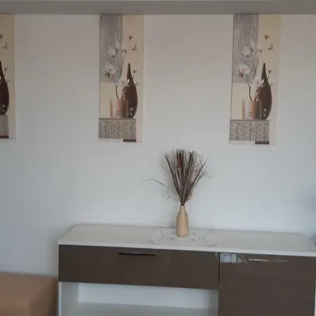 Апартаменти Apartament Ioan Socec Брашов